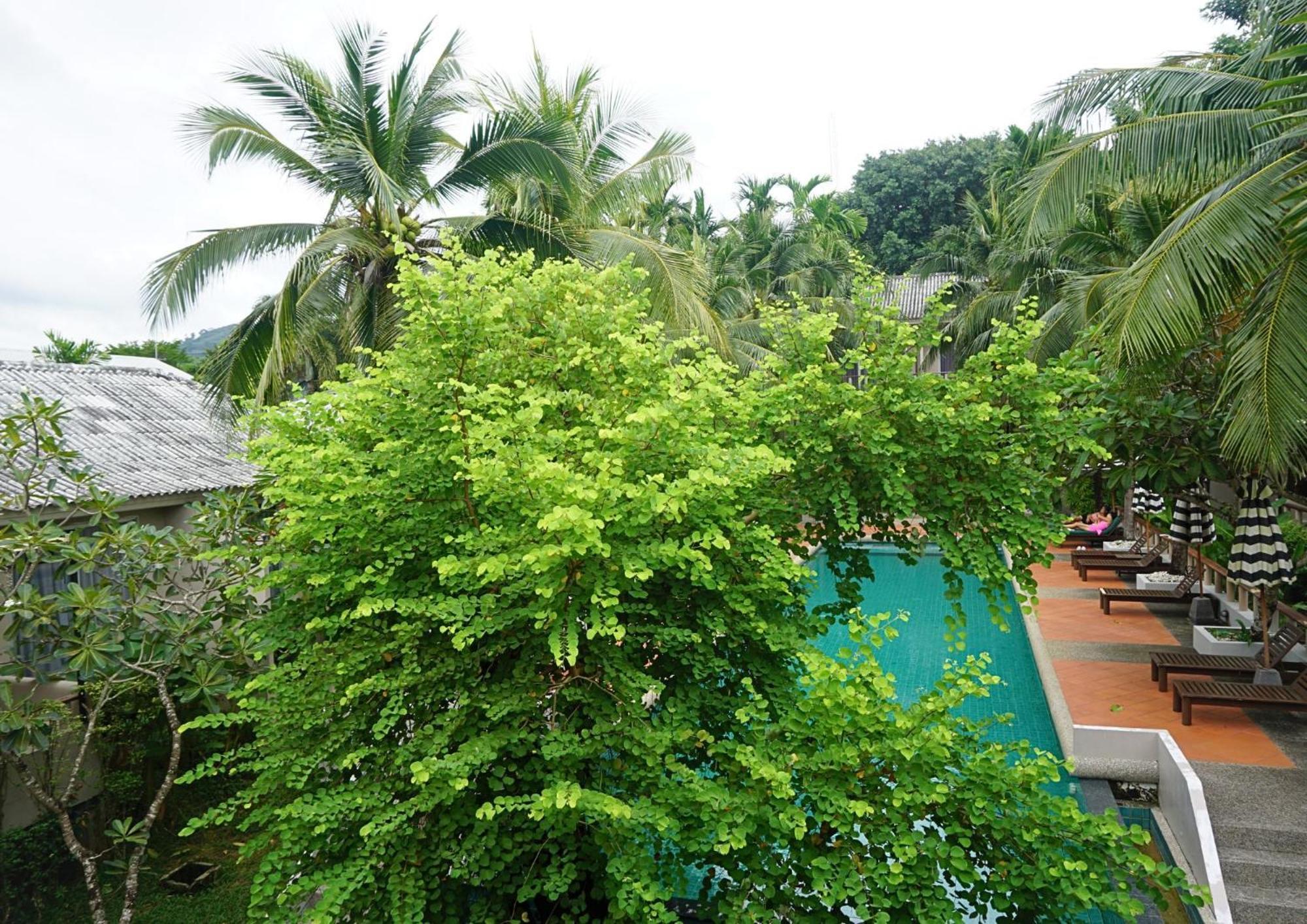 Signature Phuket Resort Chalong Exteriör bild